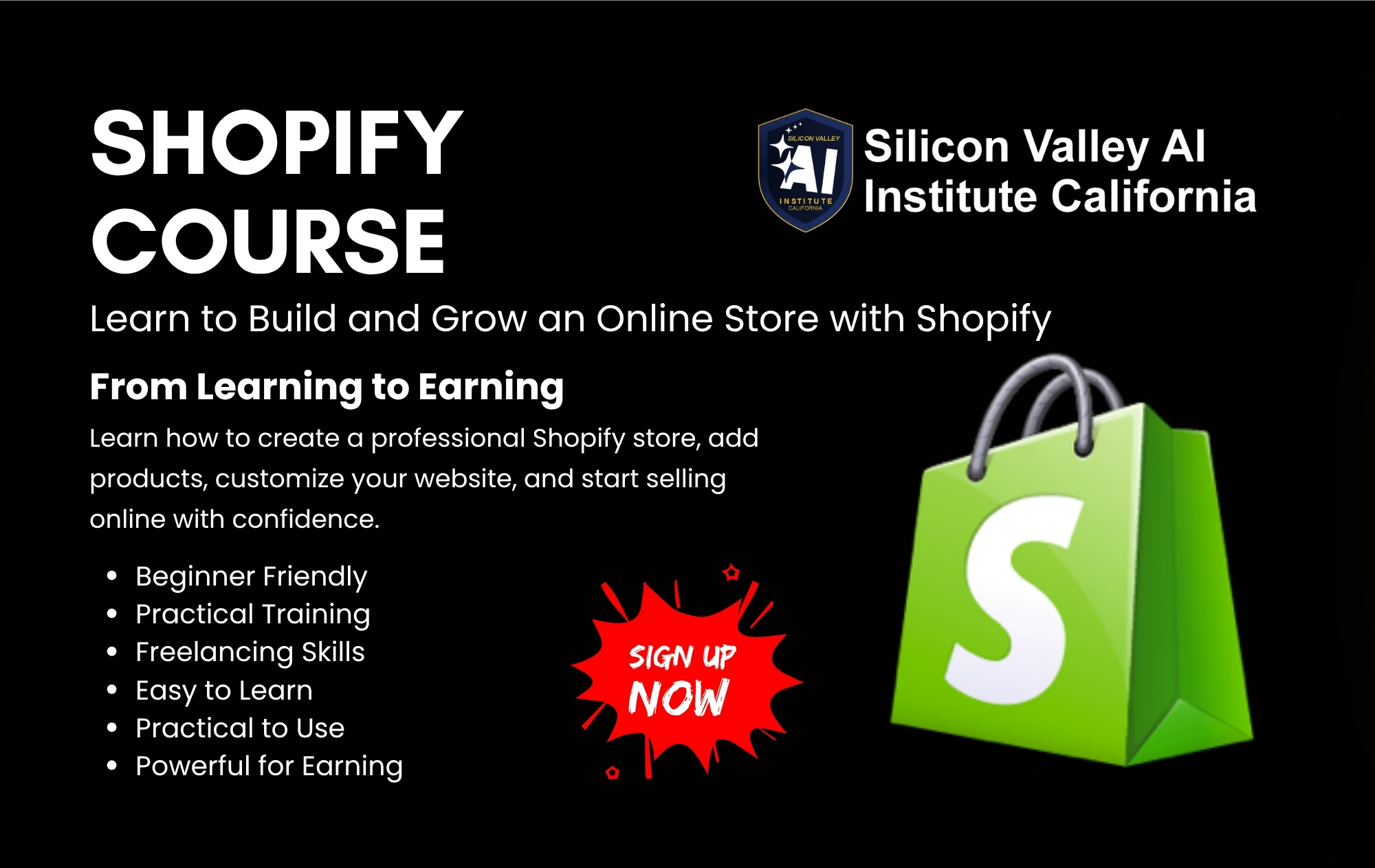 Shopify Course